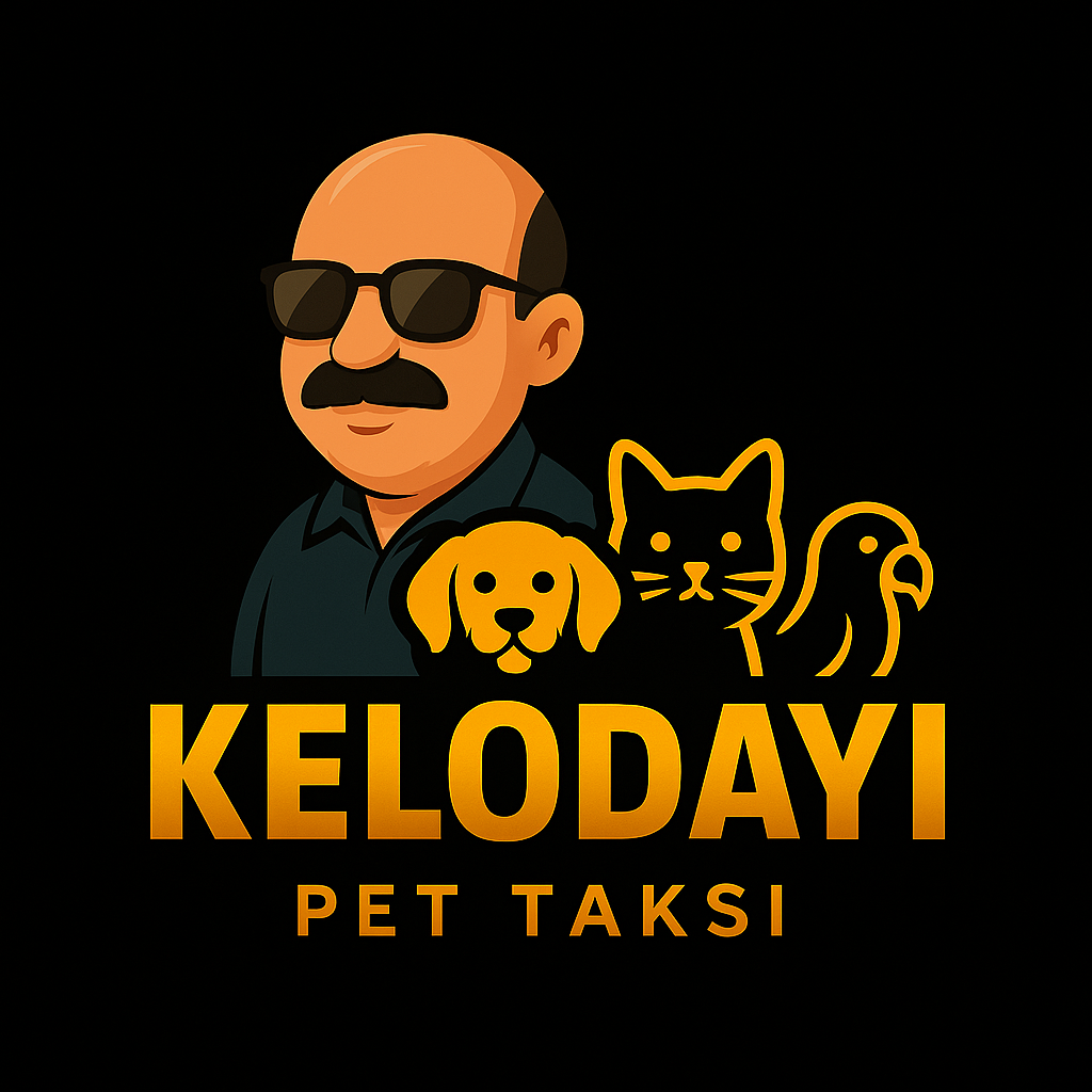 Kelodayı Pet Nakil Logo